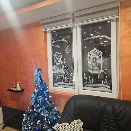Apartment Zlatar-vasiljevic *