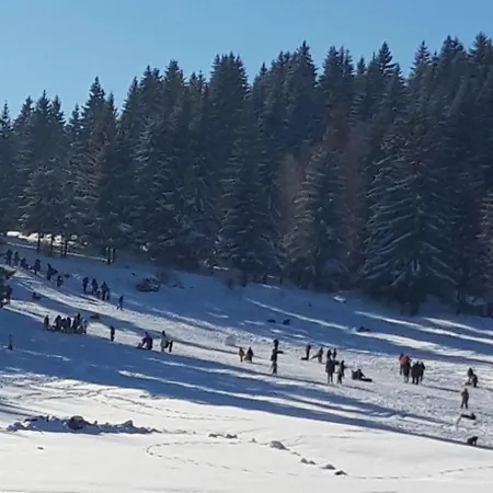 Zlatar-vasiljevic