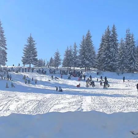 Zlatar-vasiljevic Appartamento Nova Varoš